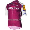 Fietskleding (Fietsshirt + Korte Koersbroek) 2017 Quick-Step Floors N003